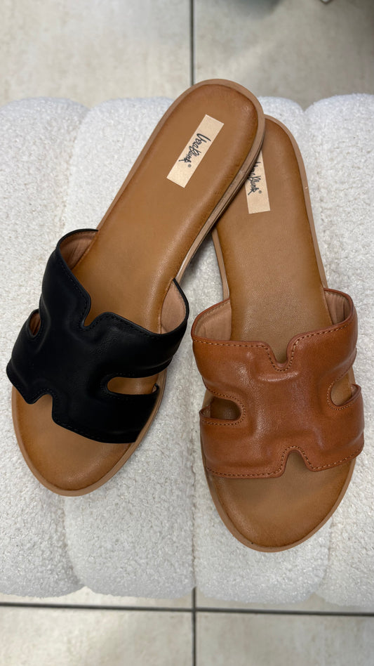 Sabot H