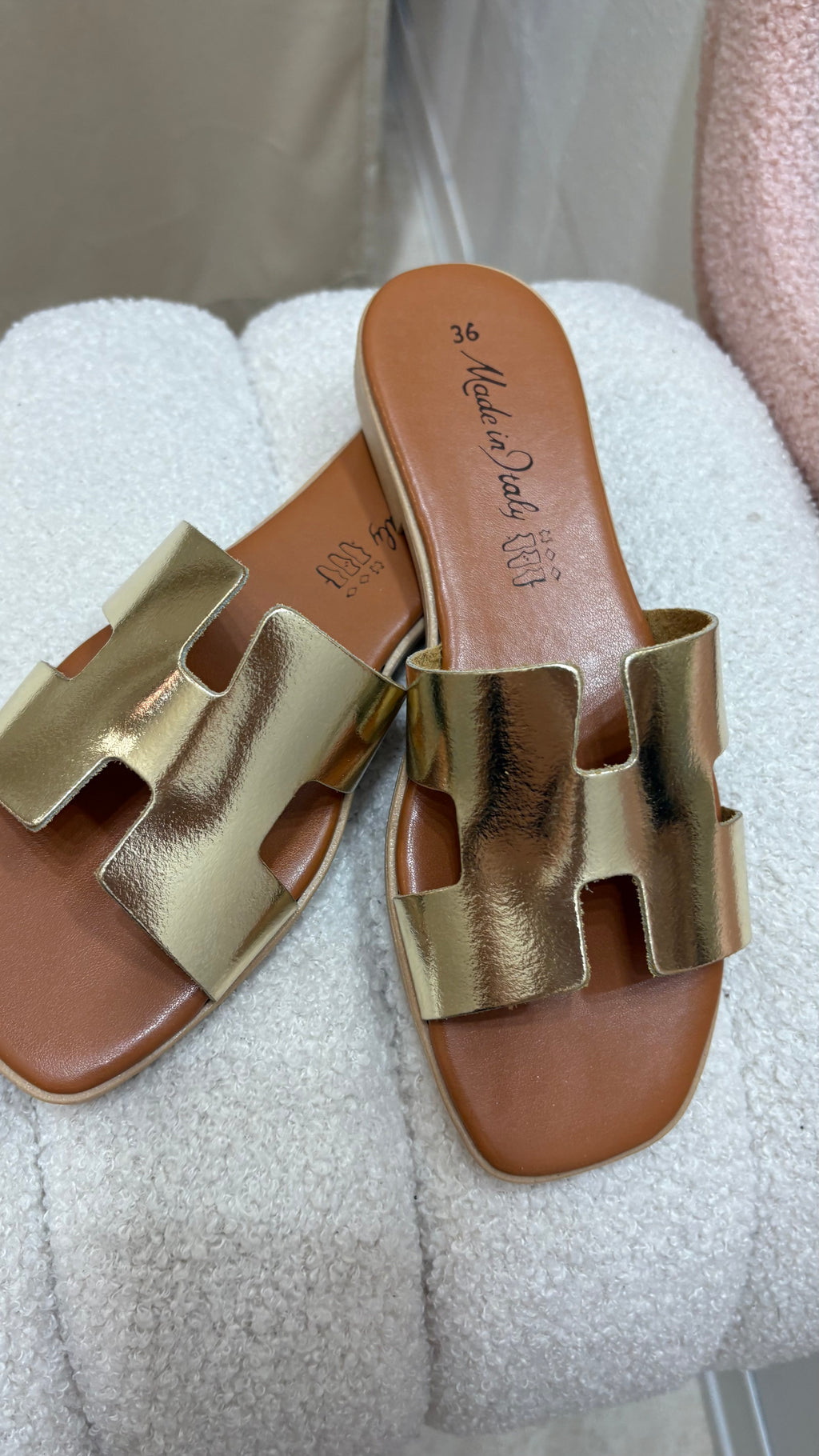 Sabot H