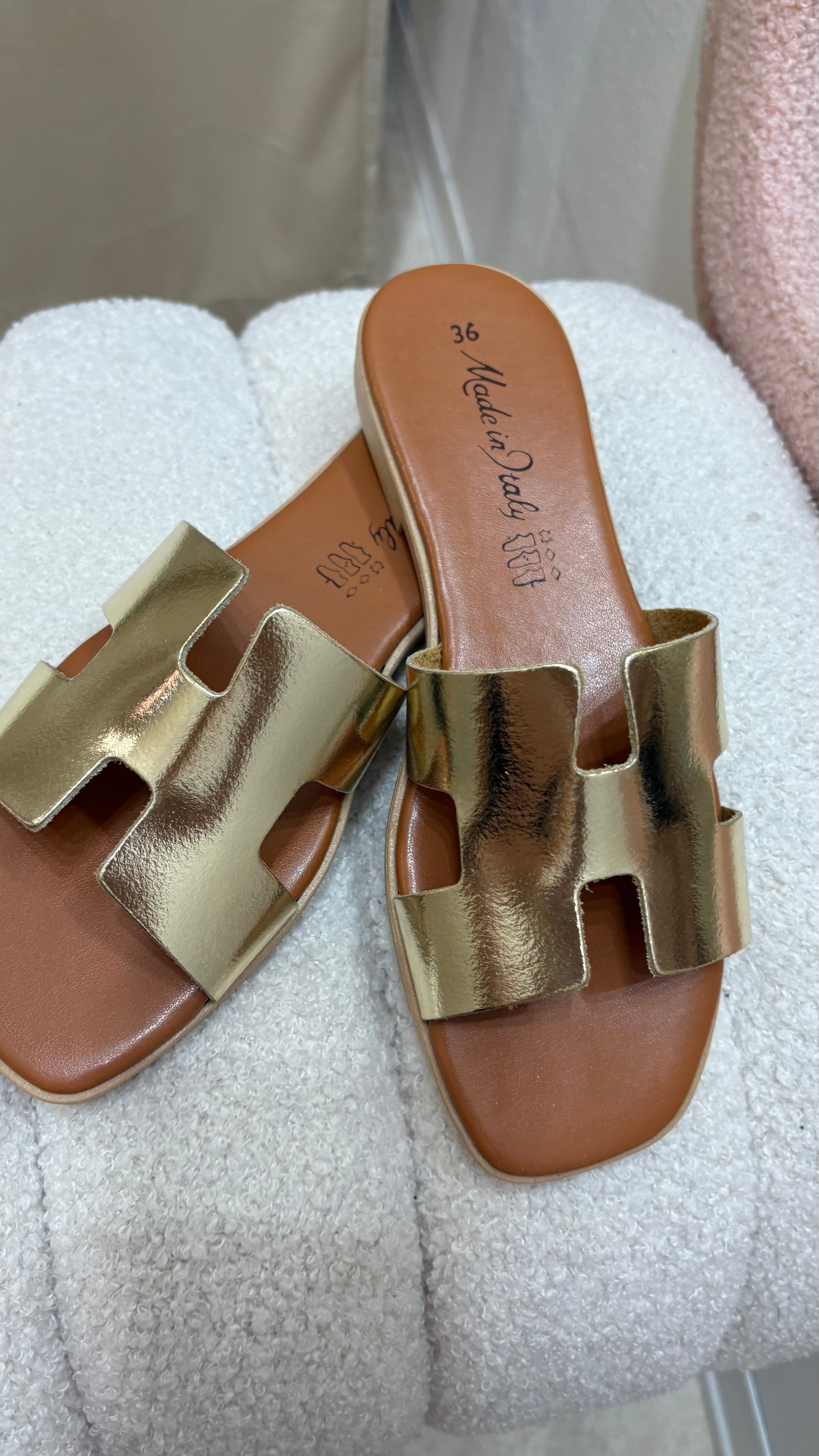 Sabot H