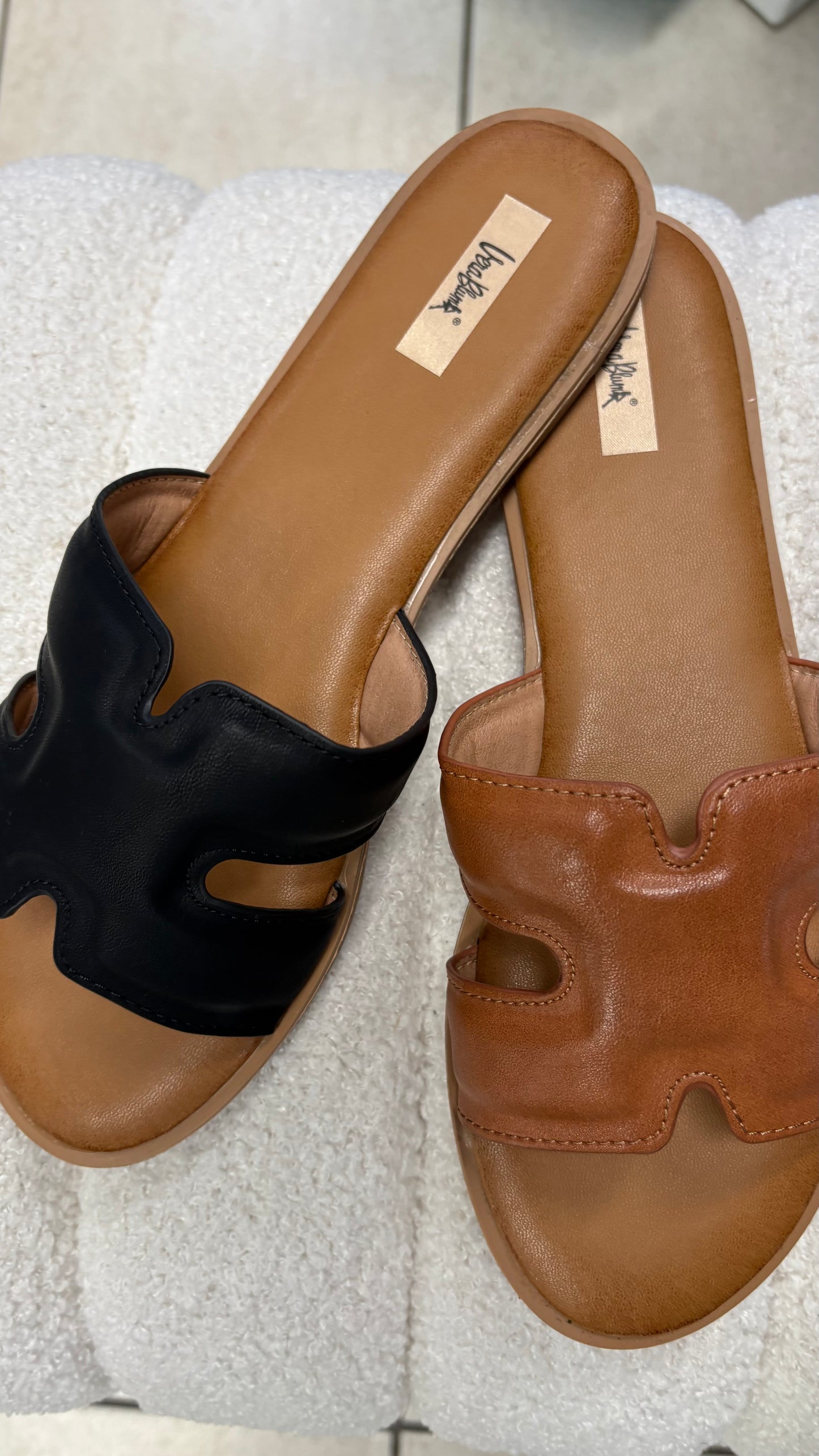 Sabot H