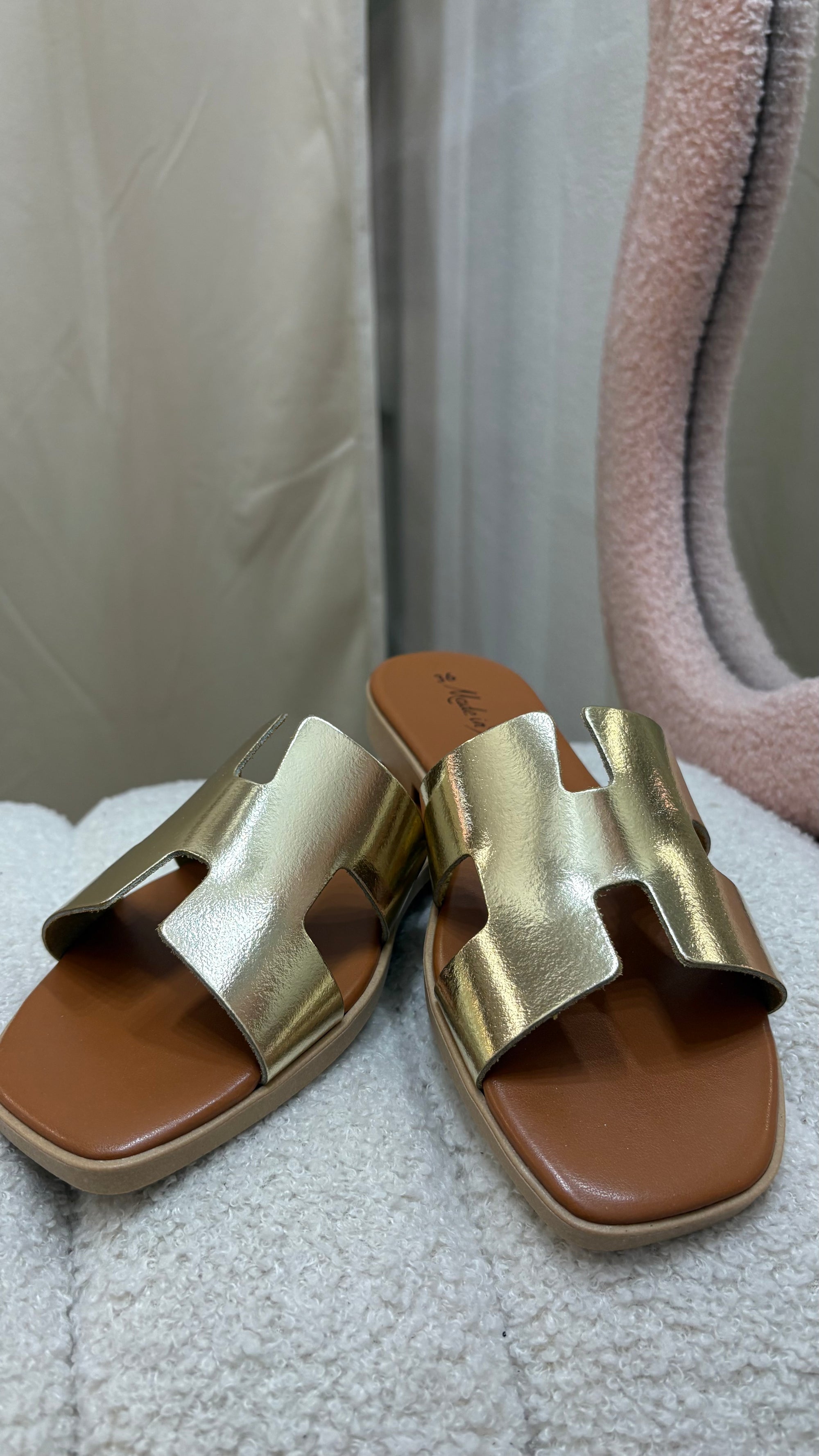 Sabot H